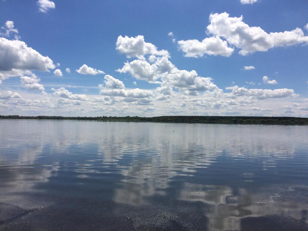 Высокое водохранилище курская область фото