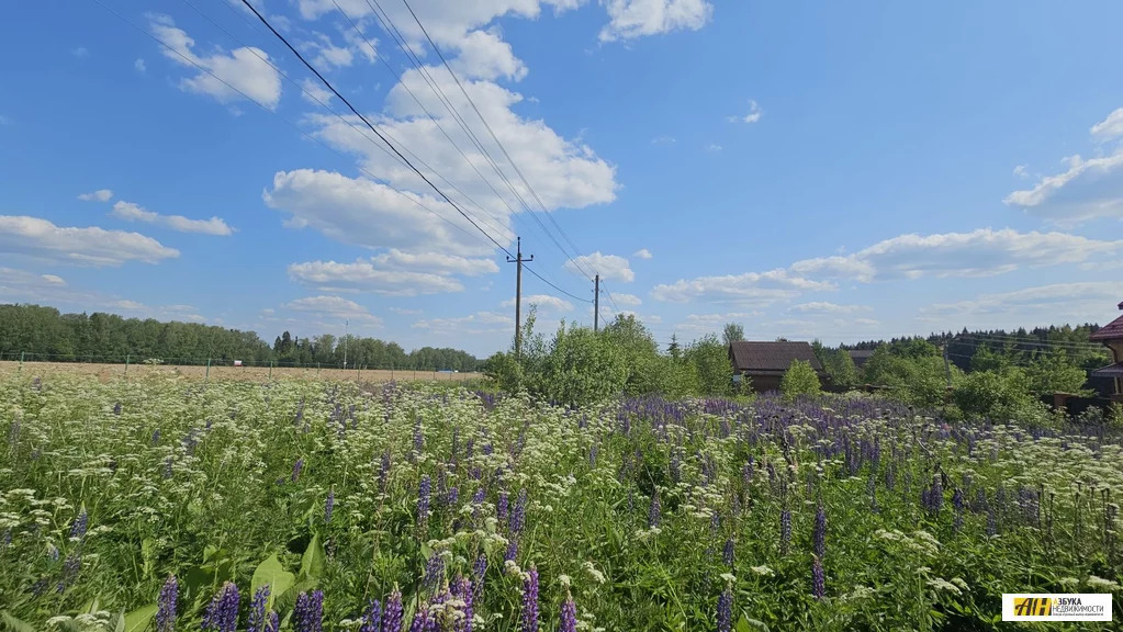 Продажа участка, Селищево, Солнечногорский район, ул. Ольховая - Фото 5