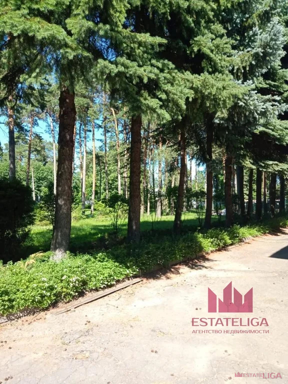 Продажа участка, Электрогорск, ул. Ленина - Фото 3