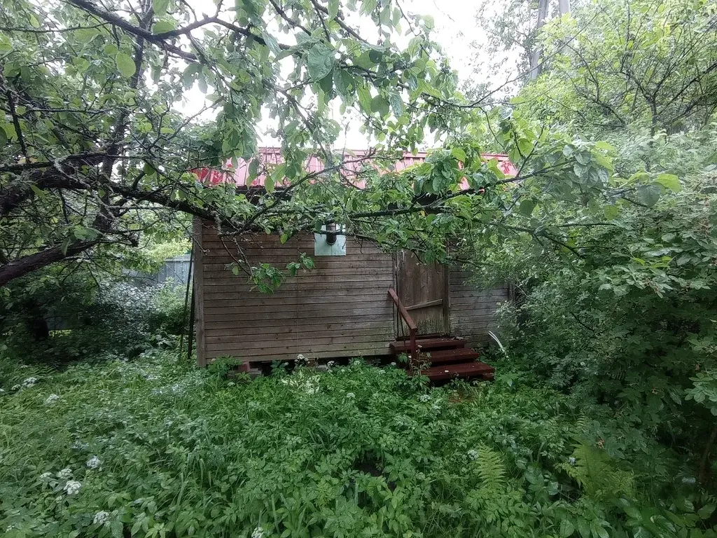 Дача 50 м2 на участке 6 сот. - Фото 10