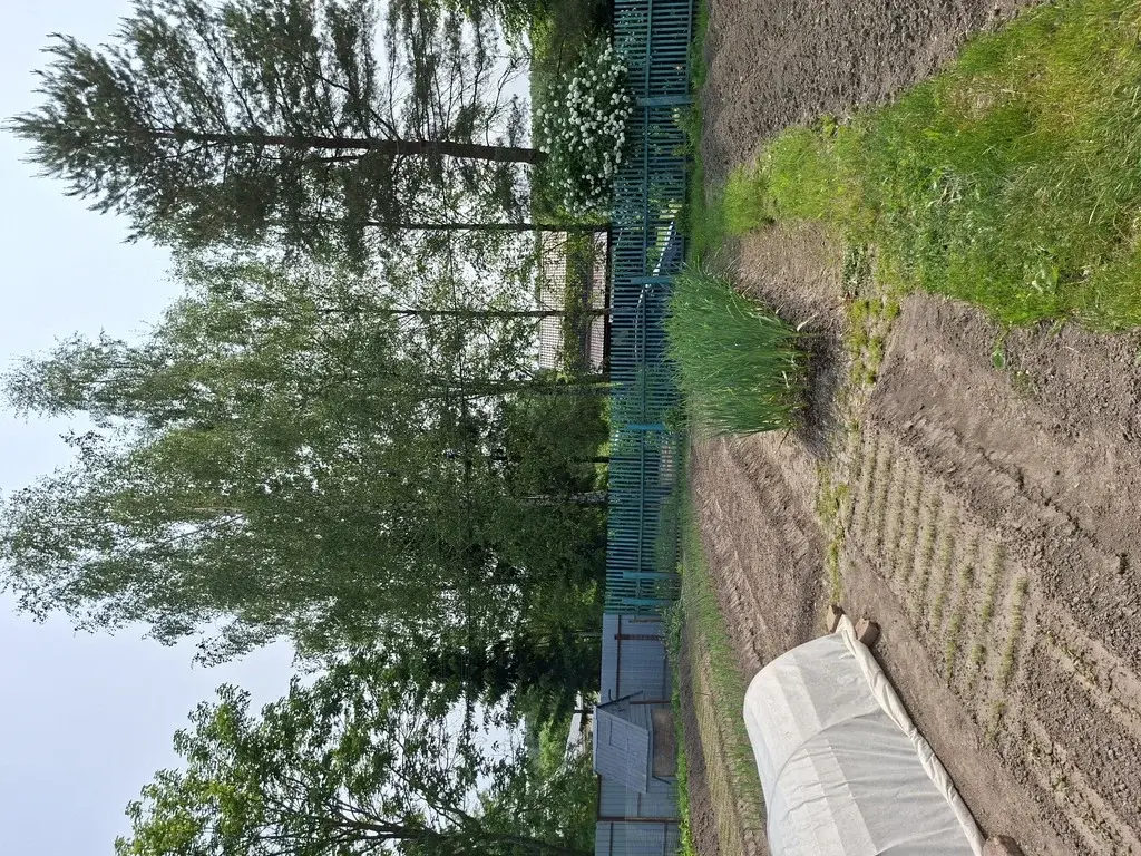 Продается дом на уч. в дерене Щелканово - Фото 18