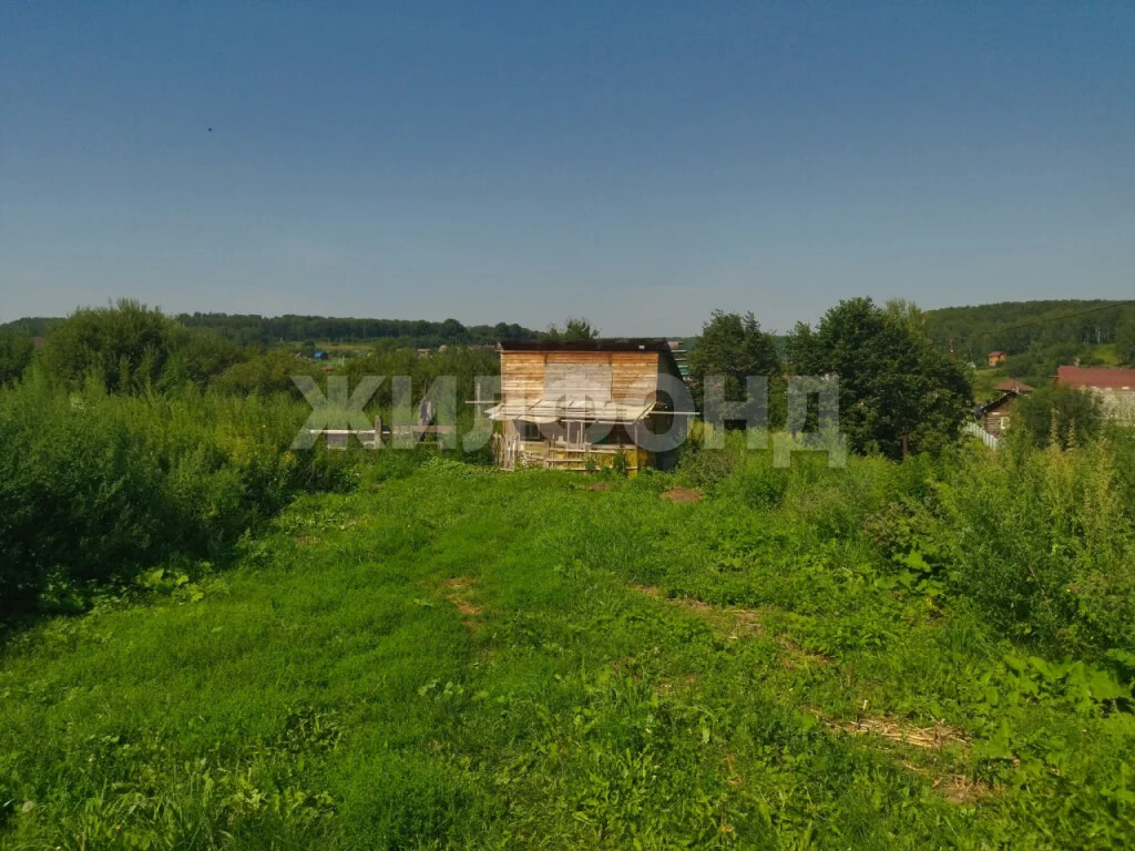 Продажа дома, Жеребцово, Новосибирский район, ул. Лесная - Фото 8