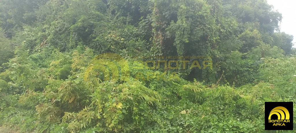 Продажа участка, Смоленская, Северский район, ул. Луговая - Фото 6