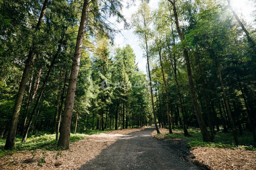 Одинцовский городской округ, Москва, Западный административный округ, ... - Фото 6