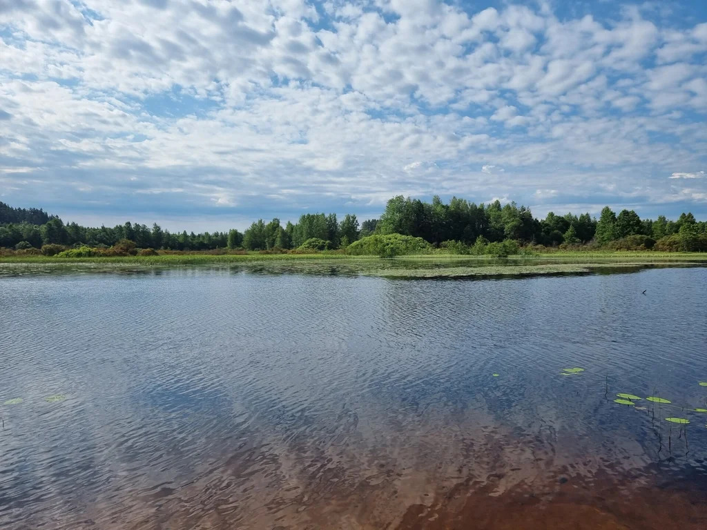 Продажа участка, Бородинское, Выборгский район - Фото 13