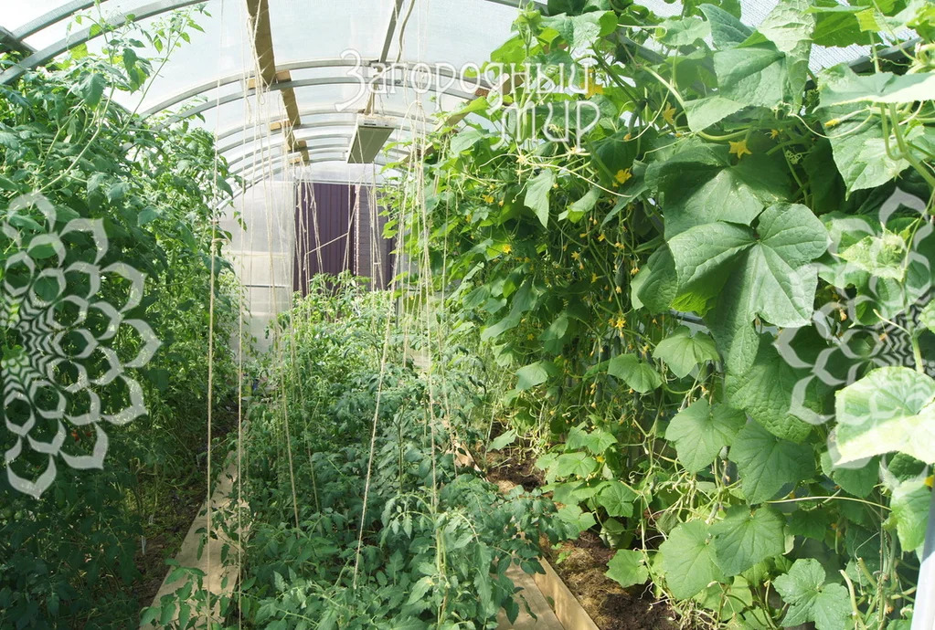 Продам дом, Новорязанское шоссе, 34 км от МКАД - Фото 48