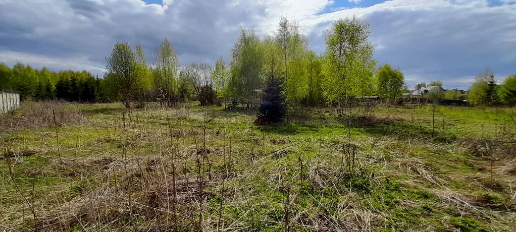 Погода в белозерово одинцовского. Белозерово.