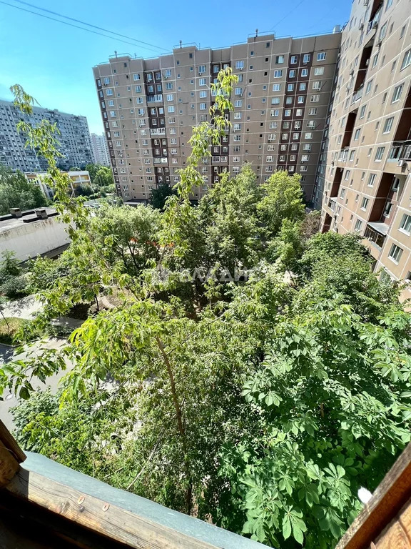 Москва, Новочеркасский бульвар, д.46, 1-комнатная квартира на продажу - Фото 15
