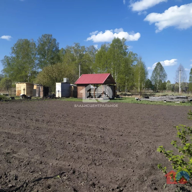 Тогучинский район, садовое товарищество Клубничка,  земля на продажу - Фото 4