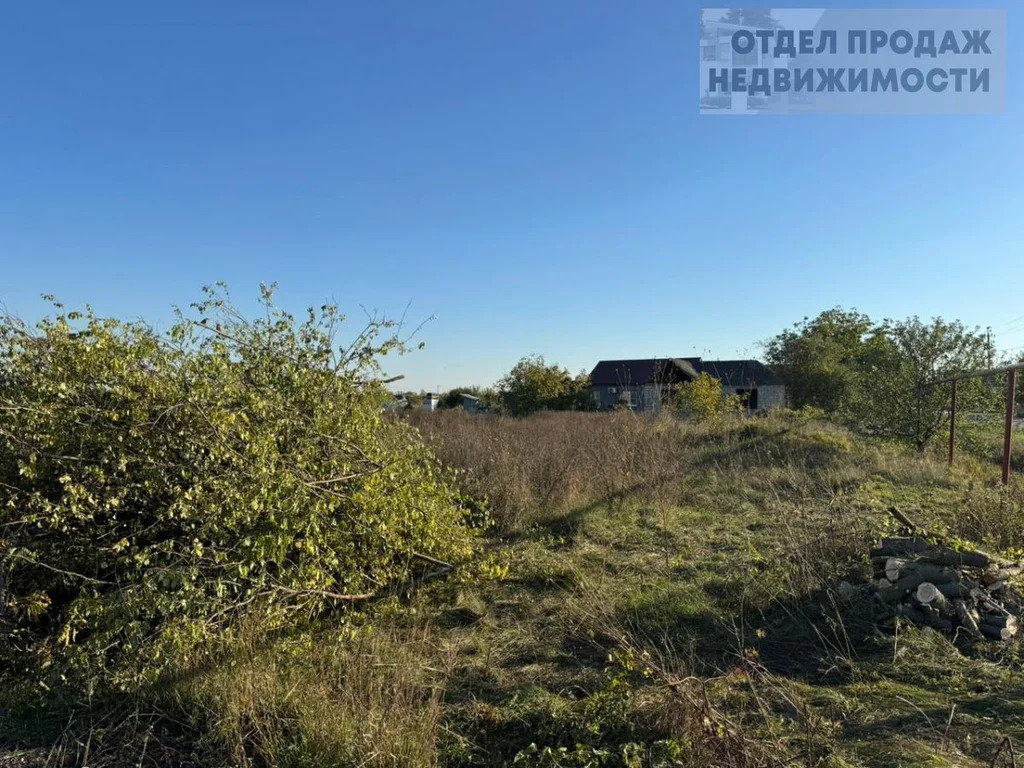 Участок в Киевской - Фото 5