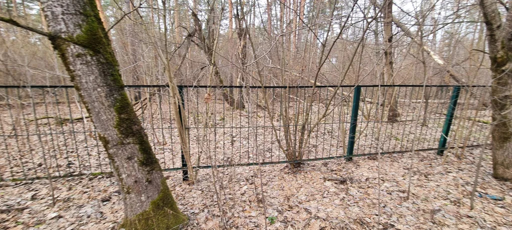 База отдыха "Лесные дали" - Фото 12