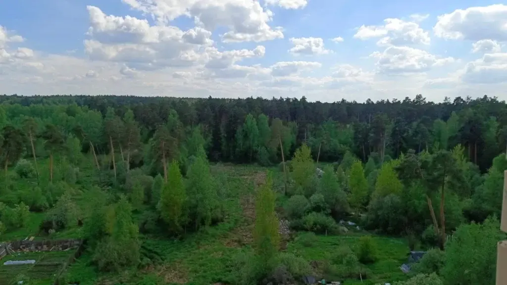 2-ка, г/о Пушкино, Красноармейск, ул. Новая Жизнь, 8к1 - Фото 18