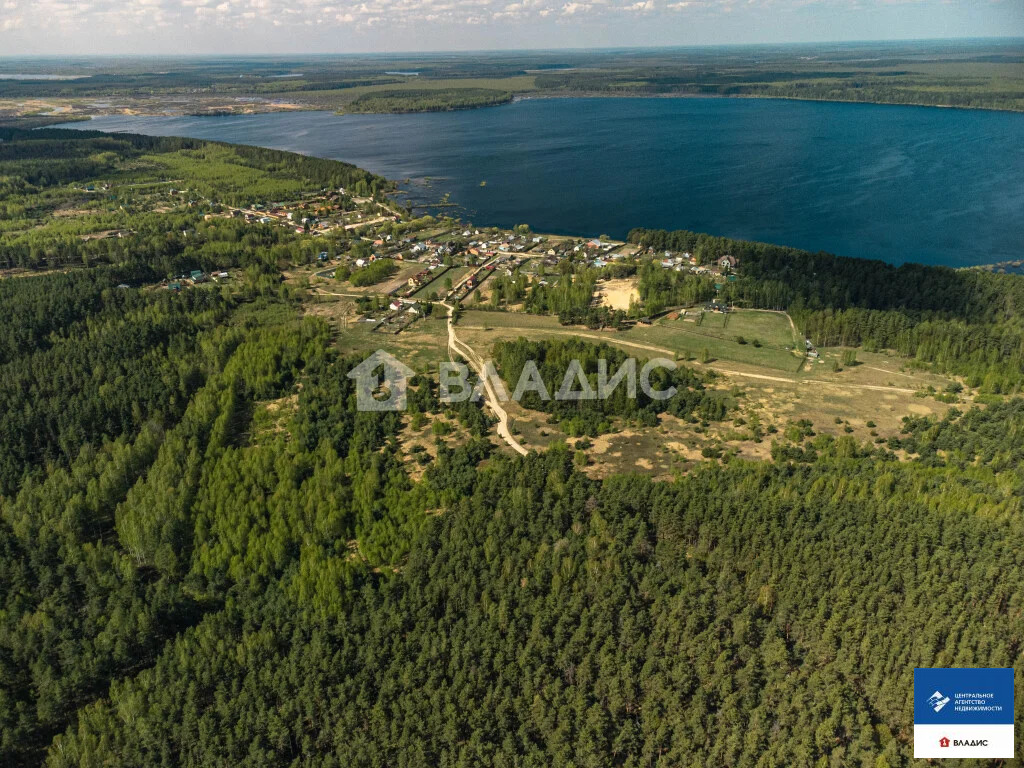 Продажа участка, Фролово, Клепиковский район - Фото 5