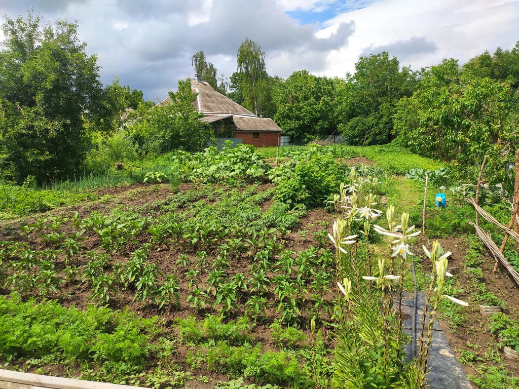 Продажа дома, Ахтырский, Абинский район, ул. Пархоменко - Фото 3