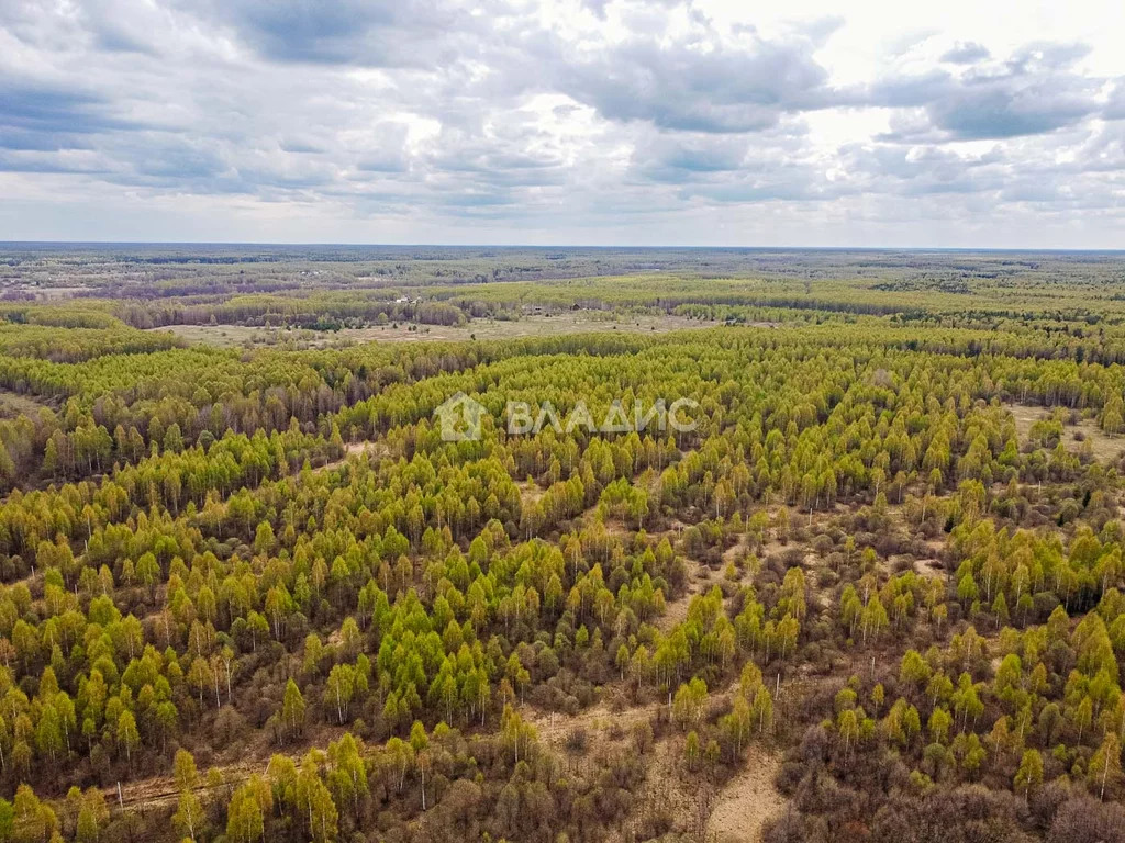Судогодский район, деревня Кощеево, земля на продажу - Фото 16