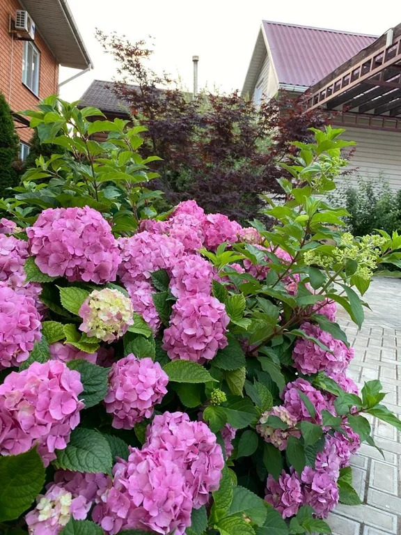 Продажа готового бизнеса, Темрюкский район, улица Песочная - Фото 29