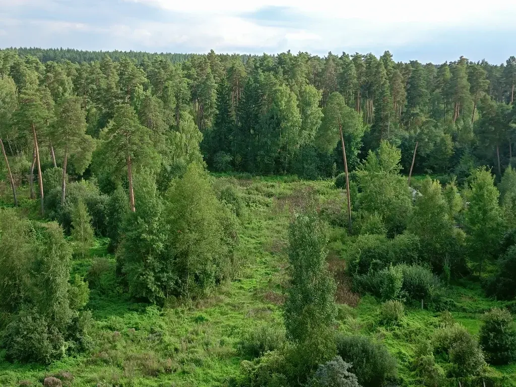 2-ка, г/о Пушкино, Красноармейск, ул. Новая Жизнь, 8к1 - Фото 15