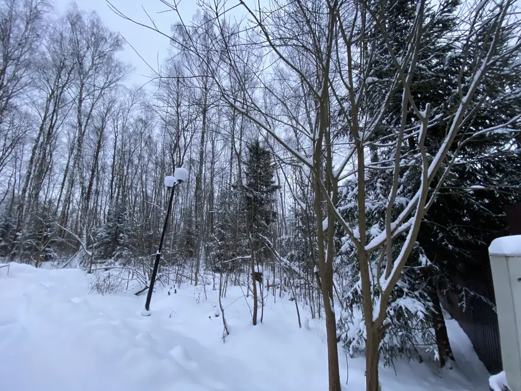 Лесной Участок, 25 соток, кп Финская Деревня, г. Чехов, свет оплачен - Фото 0