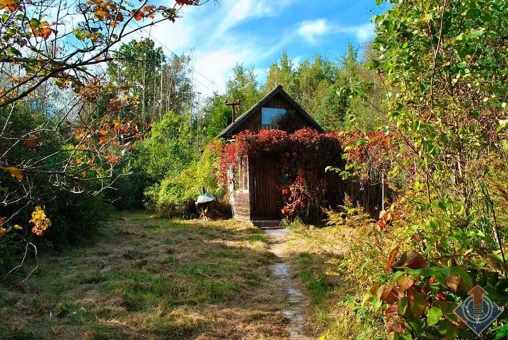 Дача в лесу на 9 сотках в СНТ Репка у д. Шапкино, Наро-Фоминский район - Фото 18