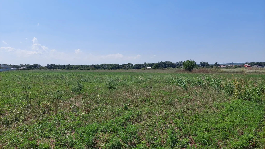 Продажа участка, Темрюкский район, улица Балтийская - Фото 4