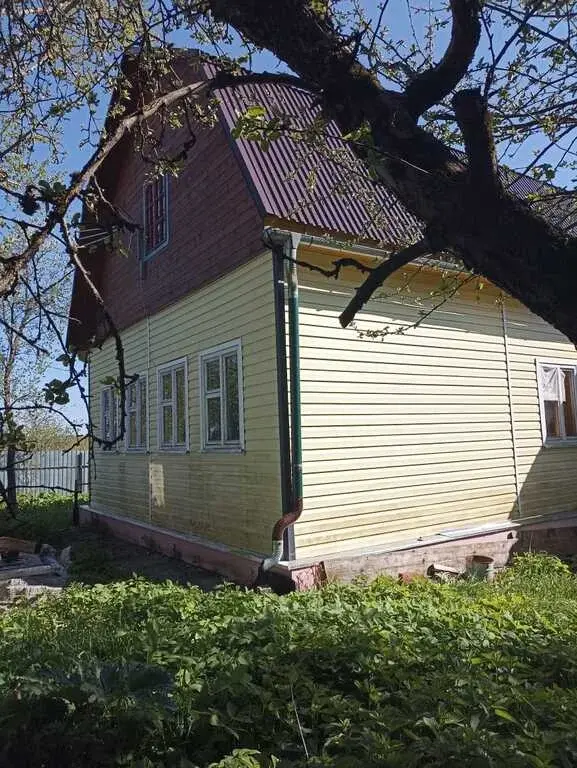 Продается дом с газом в деревне Лихачево Рузский р. Московская обл. - Фото 1