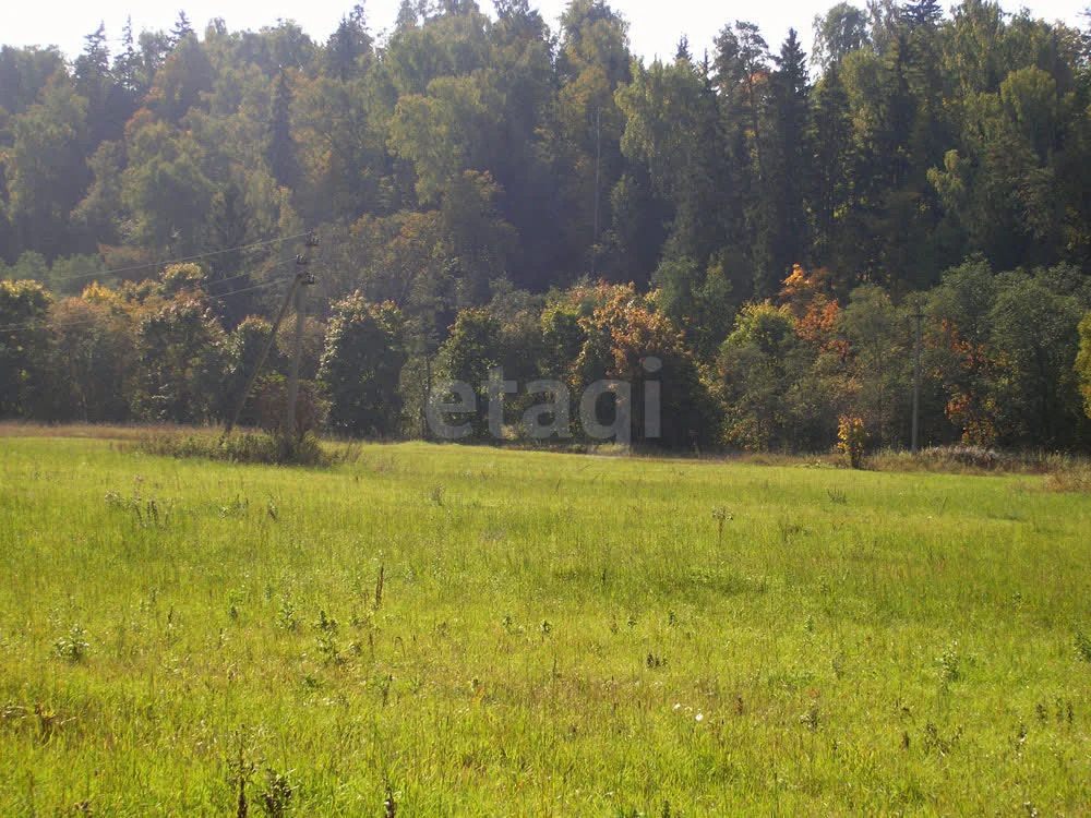 Продажа участка, Граворново, Истринский район - Фото 0