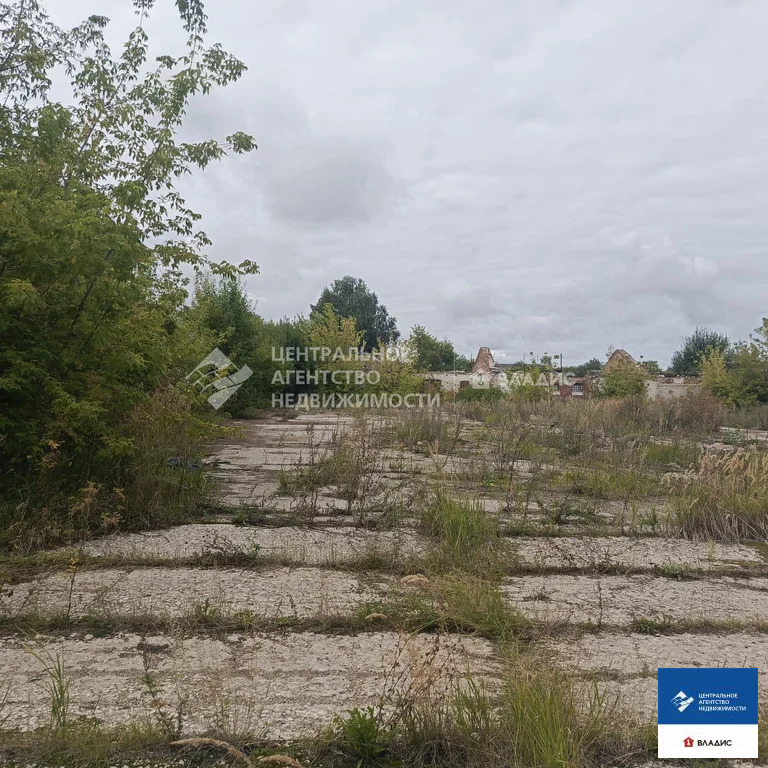 Продажа производственного помещения, Пертово, Чучковский район - Фото 10