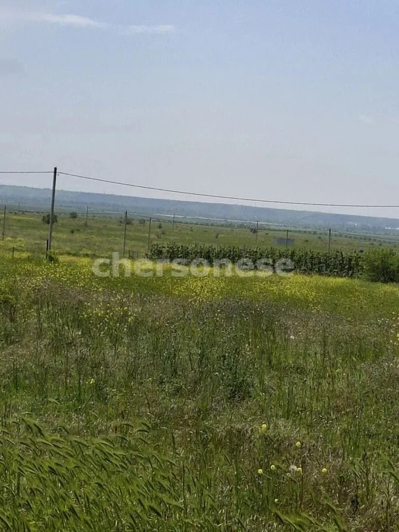 Продажа участка, Береговое, улица Новосёловская - Фото 6