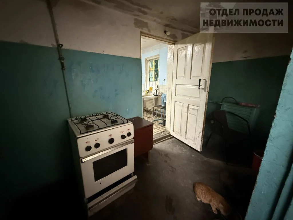 Большой бюджетный дом - Фото 15