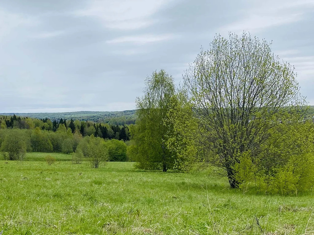 Продажа участка, Горбово, Дмитровский район - Фото 4