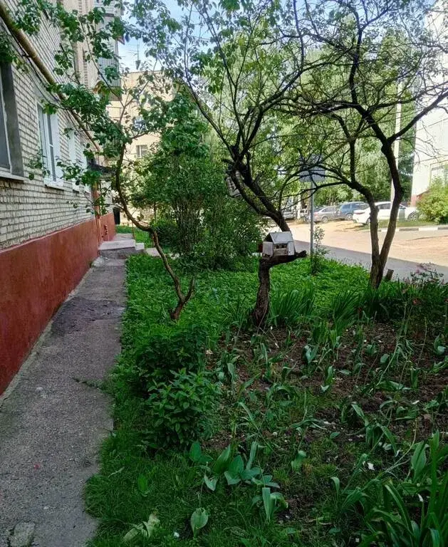 Продается 2-х ком.квартира в пос. Некрасовский, Дмитровский район - Фото 16