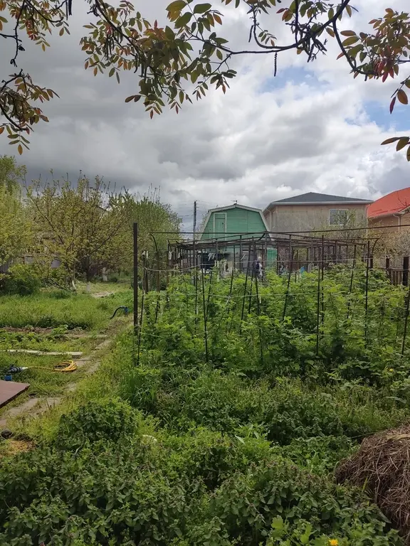 Продам земельный участок 6,5 сот. с домом 18 м.(есть возможность проп - Фото 10