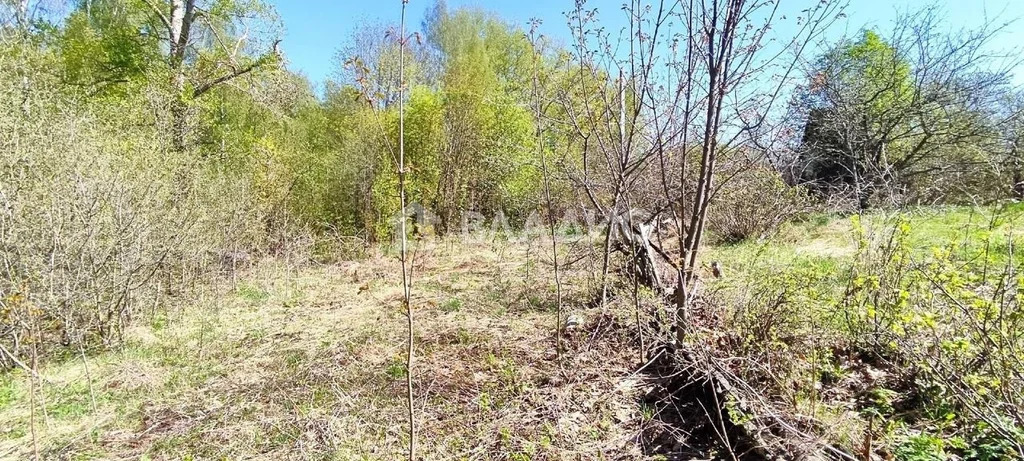 Суздальский район, посёлок Садовый, 1-й квартал, 5-я линия,  земля на ... - Фото 2