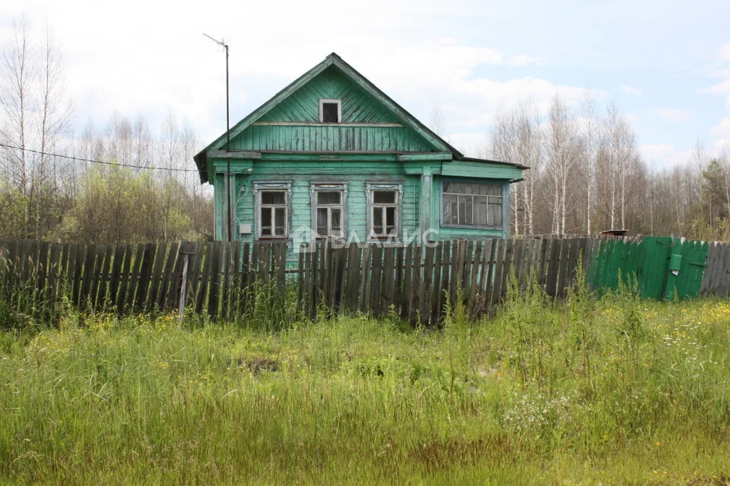 Гусь-Хрустальный район, посёлок Мезиновский, улица Чапаева,  дом на ... - Фото 13