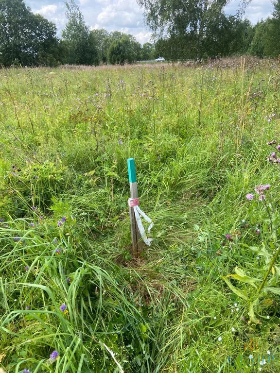 Продажа участка, Большие Озертицы, Волосовский район, деревня Большие ... - Фото 3