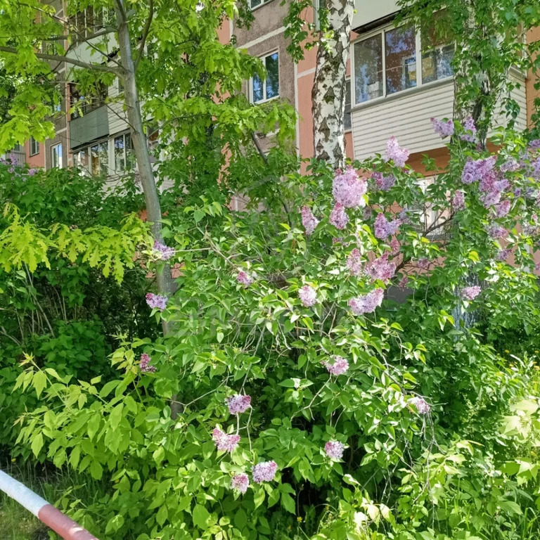 Продажа квартиры, Новосибирск, ул. Кошурникова - Фото 4