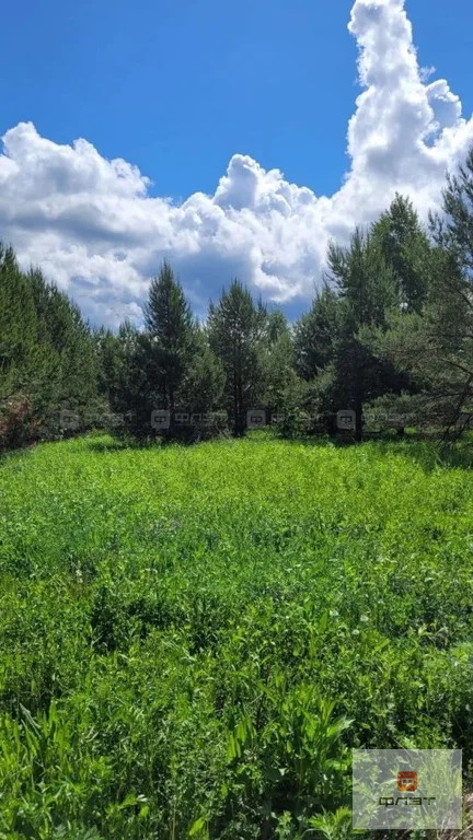 Продажа участка, Большие Ключи, Зеленодольский район, ул. Сосновая - Фото 2