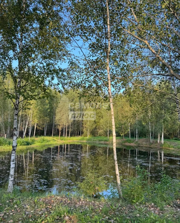 Продажа участка, Талдомский район, Журавли тер. СНТ. - Фото 13