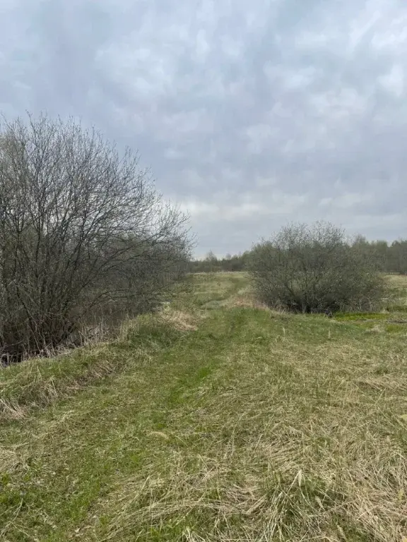 Продаю участок 25,8 га в Волоколамске - Фото 5