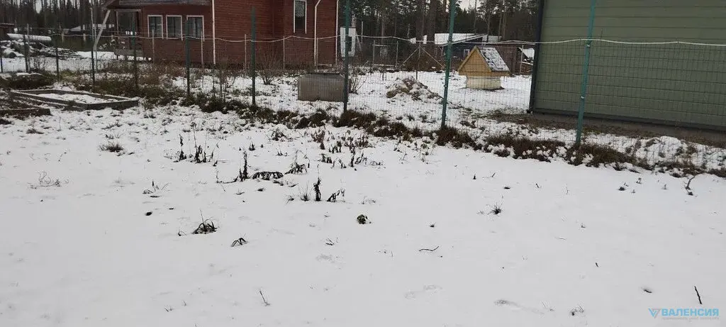 Продажа ЗУ в СНТ Сосновый бор, Куйвозовское СП, ж/д ст. 47 км - Фото 8