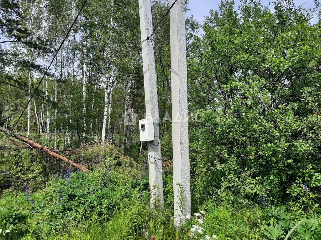 Судогодский район, деревня Луньково, Центральная улица, дом на . - Фото 14