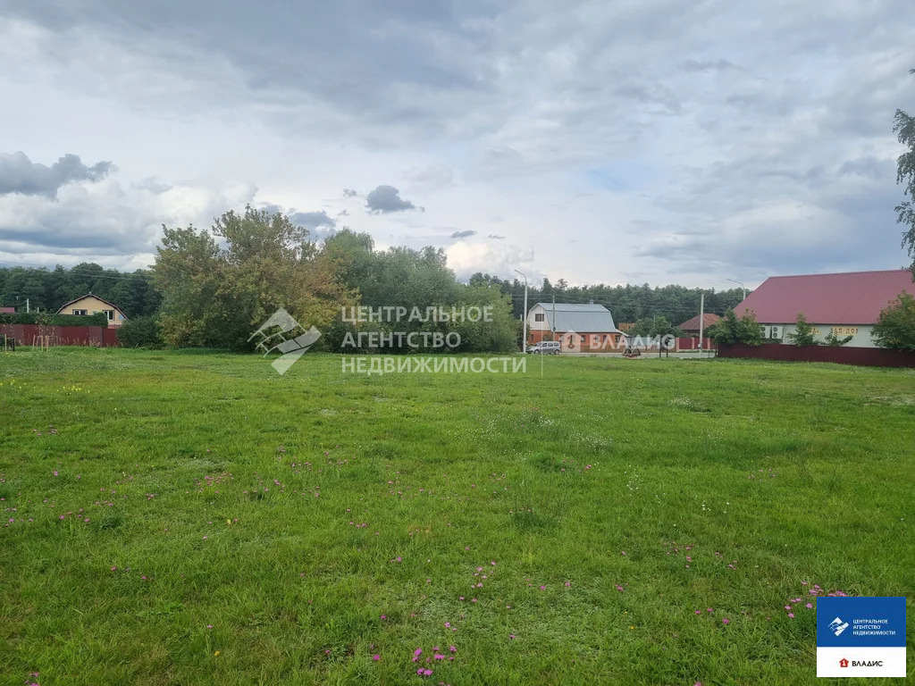 Продажа участка, Ласково, Рязанский район, Весенняя улица - Фото 4
