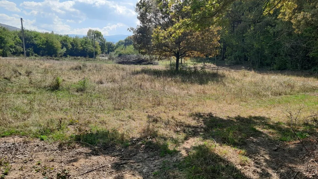 Продажа участка, Шапсугская, Абинский район, ул. Луговая - Фото 6