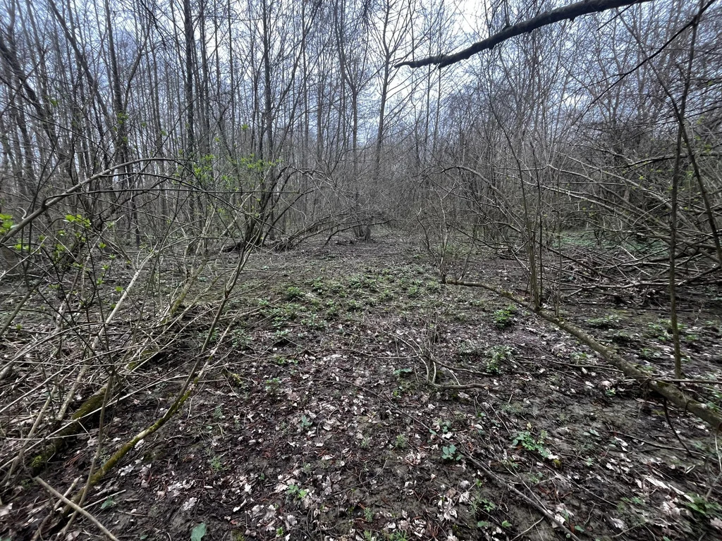 Продажа участка, Ставропольская, Северский район - Фото 4