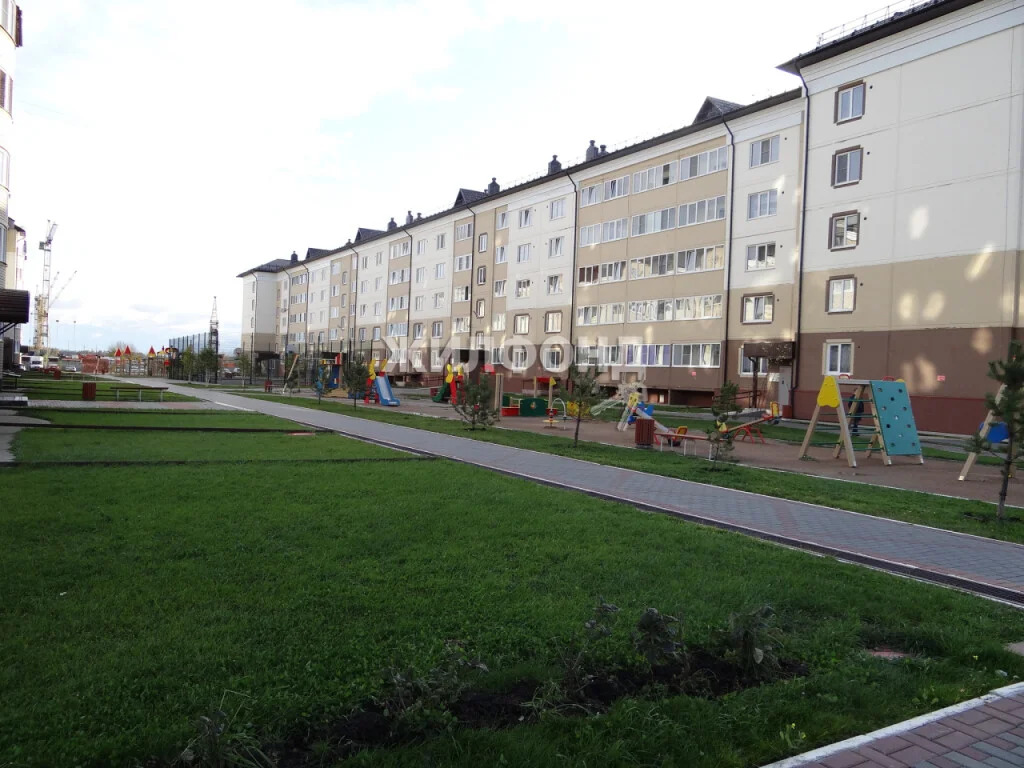 Продажа квартиры, Элитный, Новосибирский район, Фламинго - Фото 25