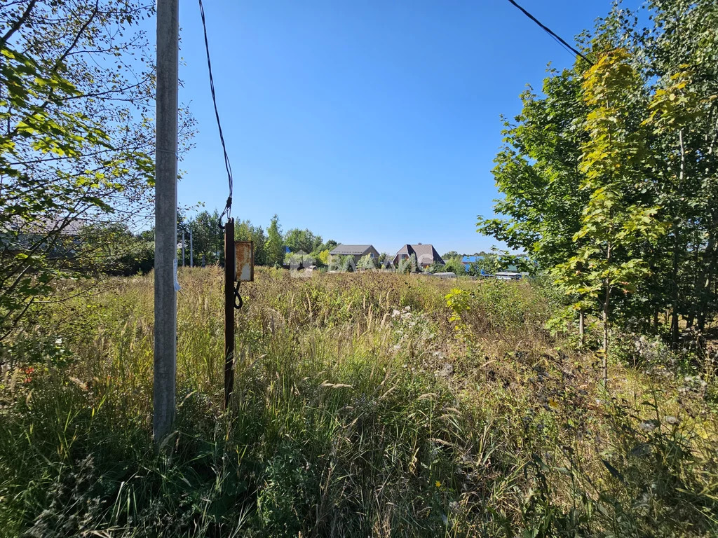 городской округ Солнечногорск, деревня Шемякино,  земля на продажу - Фото 10