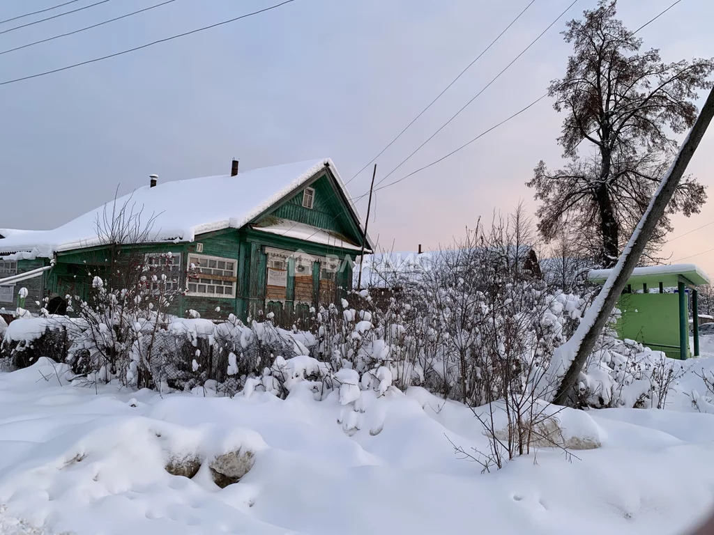 Вязниковский район, деревня Паустово, Центральная улица, дом на . - Фото 14