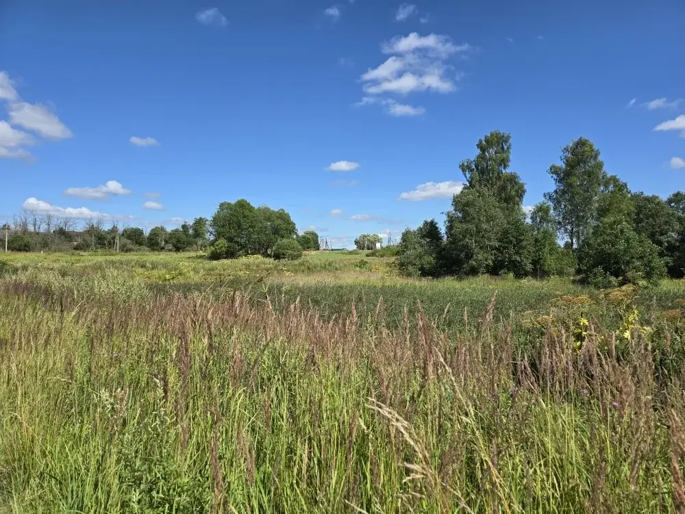 Продаю уч. 30 сот. с Семеновское - Фото 15