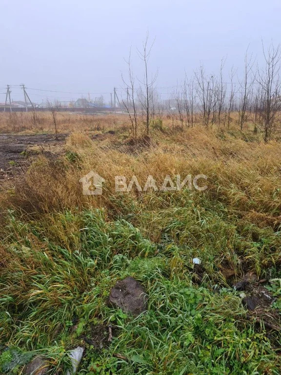 Всеволожский район, коттеджный посёлок Перепелкино,  земля на продажу - Фото 7
