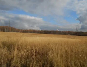 Земельный участок - Фото 9